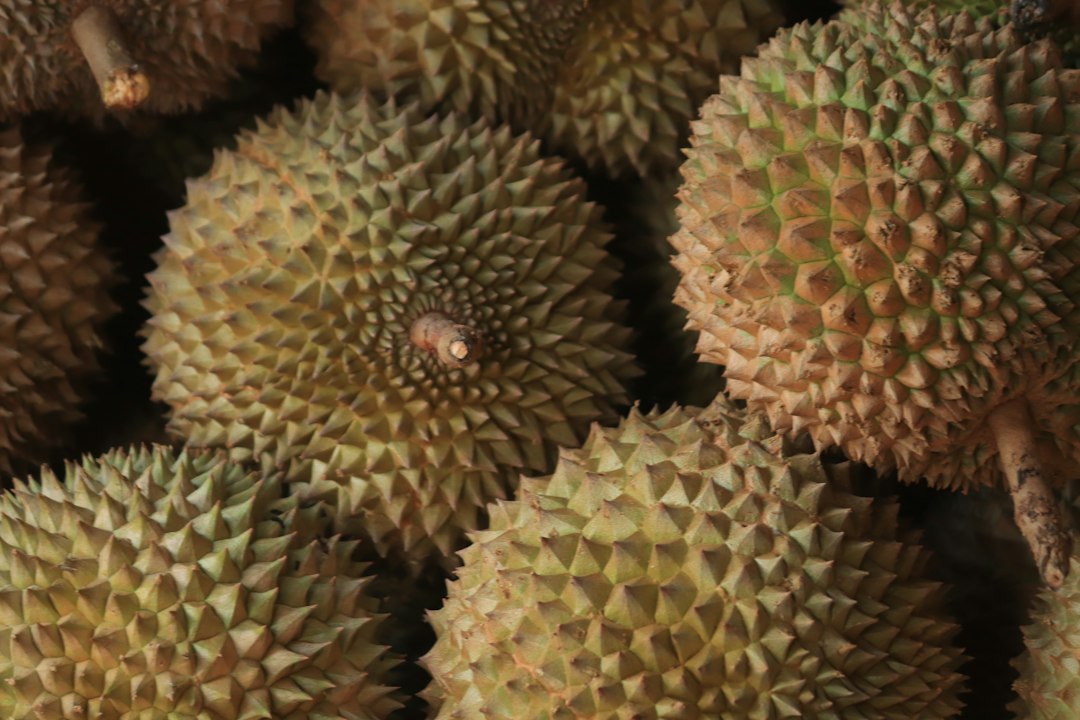 Data Durian Dynamite: Unleashing the Power of Personalized Marketing in Southeast Asia