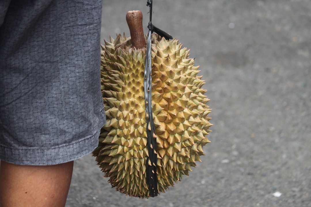 Digital Durian Delight: The Unique Challenges and Opportunities of MarTech in Malaysia